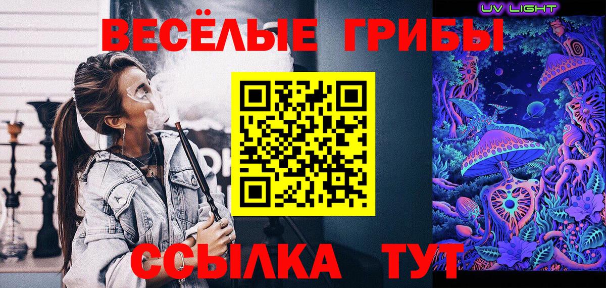 цена   Вход с VPN  Псилоцибиновые грибы прущие грибы  Барабинск  Псилоцибиновые грибы мухоморы 