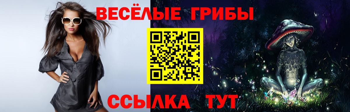 Галлюциногенные грибы мухоморы Барабинск